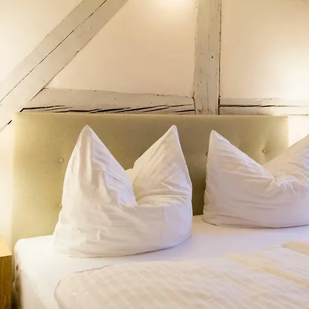 Altendorfer Vorwerk - Ferienapartments Lejlighed