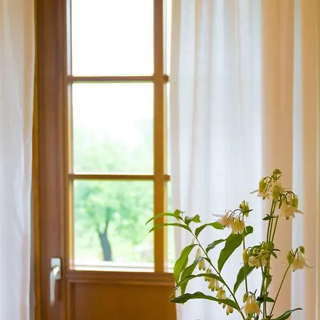 Altendorfer Vorwerk - Ferienapartments דירה