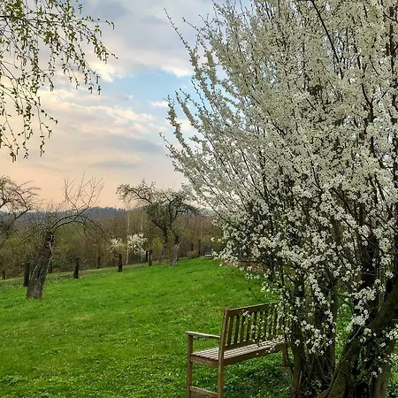 Apartamento Altendorfer Vorwerk - Ferienapartments Altendorf (Sebnitz)