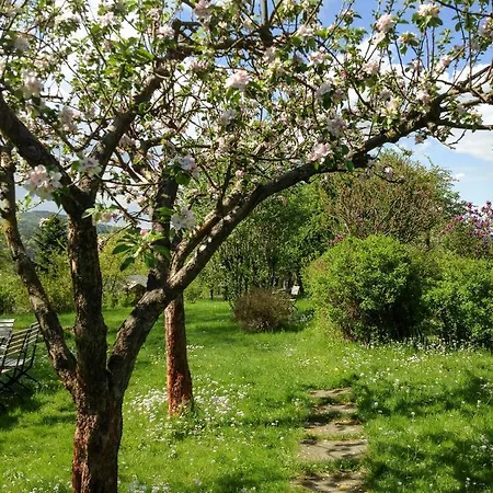 Altendorfer Vorwerk - Ferienapartments Altendorf (Sebnitz)