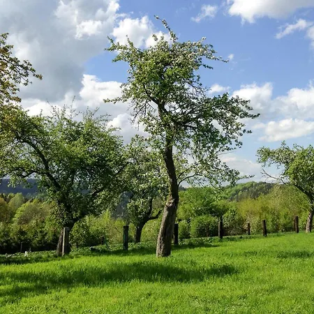 Altendorfer Vorwerk - Ferienapartments Lejlighed