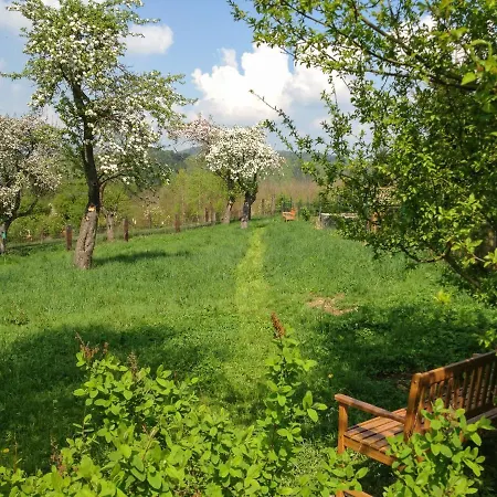 Altendorfer Vorwerk - Ferienapartments Lejlighed Altendorf (Sebnitz)