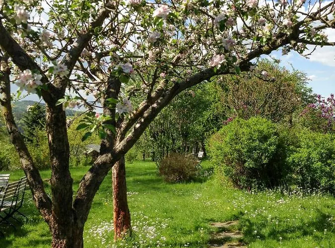 Altendorfer Vorwerk - Ferienapartments Altendorf (Sebnitz)