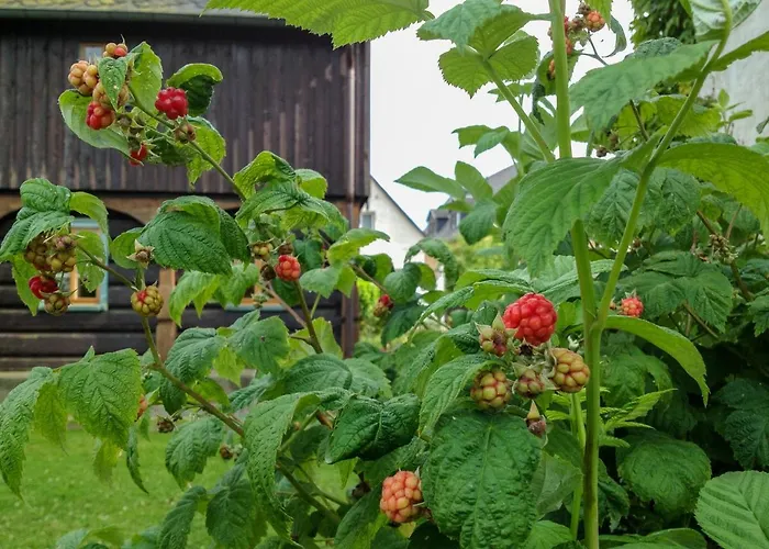 Altendorfer Vorwerk - Ferienapartments Апартаменты *