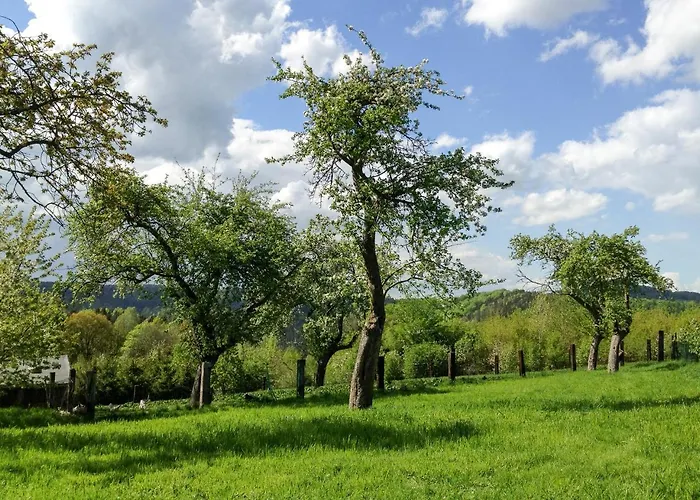 Altendorfer Vorwerk - Ferienapartments Апартаменты