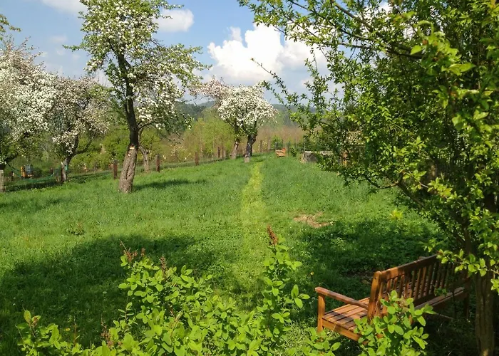 Altendorfer Vorwerk - Ferienapartments Апартаменты Altendorf (Sebnitz)